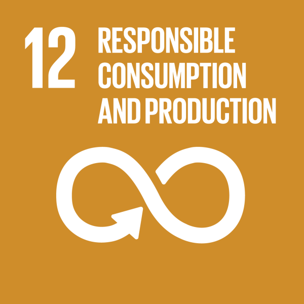 Sustainable Development Goal: Responsible Consumption and Production